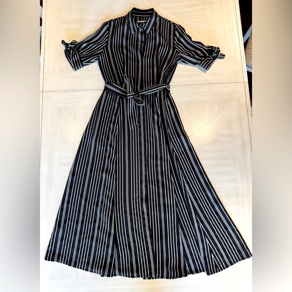 Calvin Klein Striped Black/Silver Midi Button Down Shirt Dress - Size 4 - Picture 8 of 16